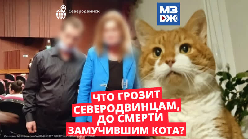 Мзж дело северодвинских живодёров