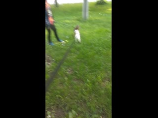 Vid 20200607 174035 mp4