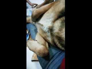 Vid 20190422 200004 mp4