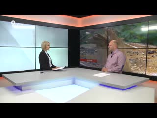 Точка зрения лес, форбс, люкс