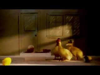 Even a duck couldn't tolerate it