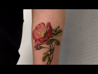 Тату мастер илья калиниченко (realistic tattoo rose hip) | тату студия дом элит тату (tattoo studio moscow)