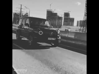 Lm777 | тетка черной масти