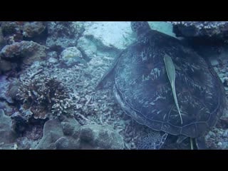 Drawing a large heart figure on the sand of a seashore