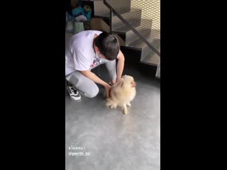 Перт и псинка талэя хд