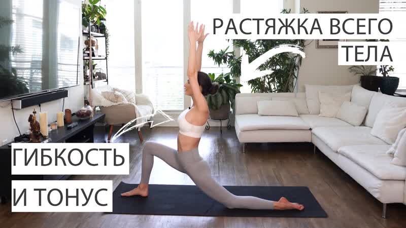 Sls растяжка для начинающих на все тело эффективные упражнения на гибкость