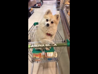 Instagram stories tatiana volosozhar