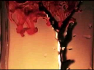 Armand basi happy in red