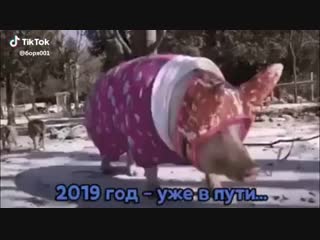 Видео от анастасии дрок