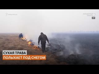 Тундра полыхает, несмотря на морозы | сибирь реалии