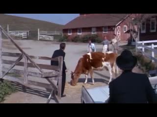 The farmer´s other daughter (1965)