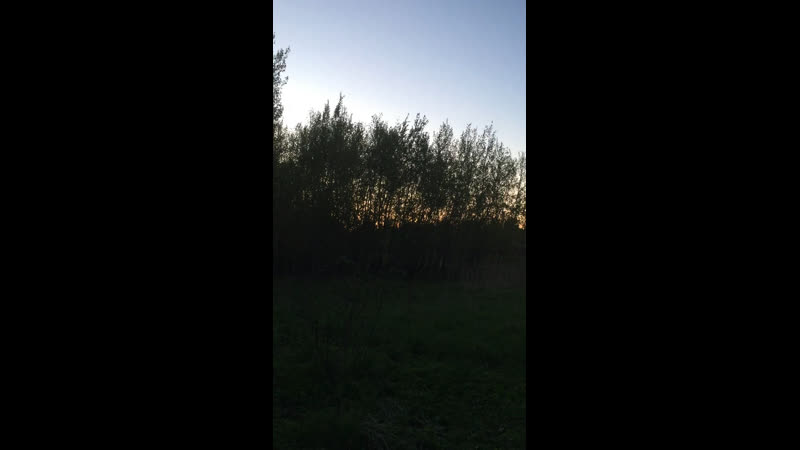 Видео от regina gonchar