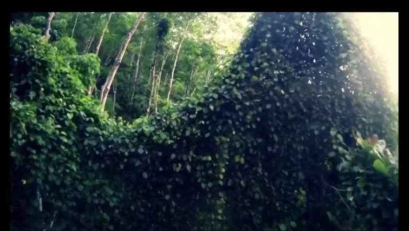 Temptation island insula iubirii c radu valcan