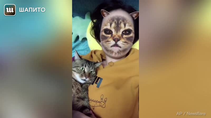 Кошкам показали людей кошек они в ужасе!