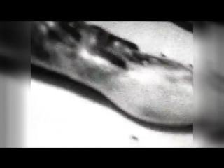 Alien autopsy roswell ufo crash вскрытие инопланетянина 1947