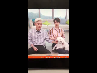 Виви любит чанёля (2)