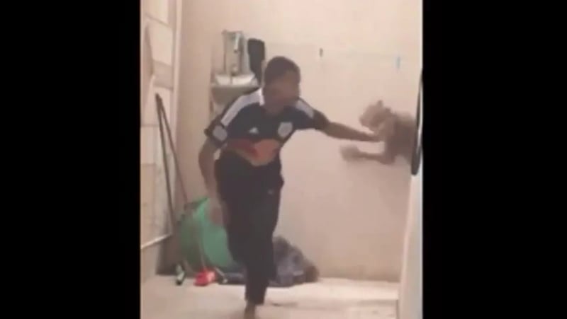 Знакомые попросили покормить кота пока их не будет (only video)