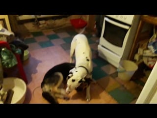 Марси и лора на кухне