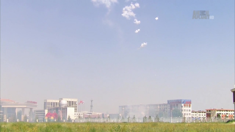 Другой китай с найджелом марвином 5 я серия монгольские равнины / untamed china with nigel marven (2011) hd