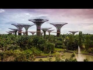 Die avatar kriege der kampf um die mutterbäume teil 7