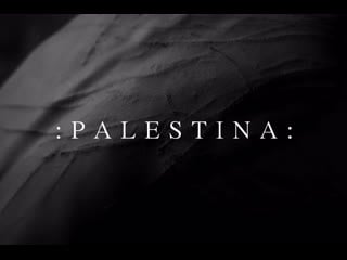 Palestina split(2019)