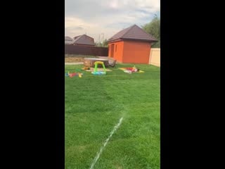 Выпускник питомника тимерташ валдай (тюмень) сын даны и шика (тимерташ примадонна × тимерташ шик и блеск)
вопросы по +790488818