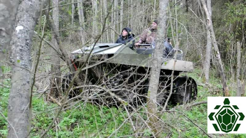 Буйвол в лесу