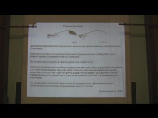 Теория эволюции марков а в лекция 9 часть 1