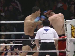 Antonio rodrigo nogueira heath herring