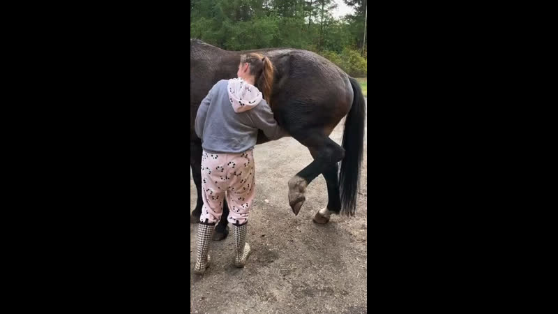 Когда в следующий раз захочешь пожаловаться на свою работу, просто вспомни, что сейчас кто то дрочит коню