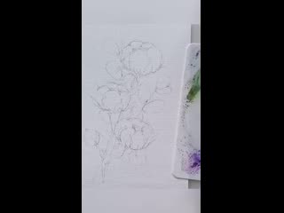 Kv art ira 20200930 1 mp4