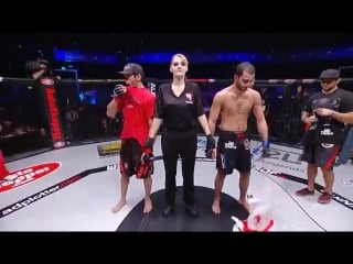 Wsof 26 palmer vs almeida