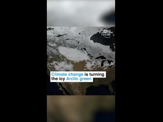 Leonardodicaprio video 1581056730910 mp4