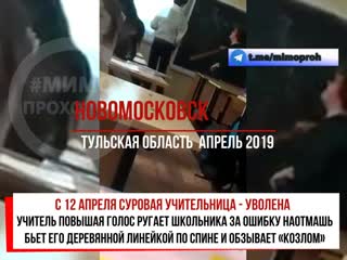 Суровую учительницу избившую школьника линейкой уволили новомосковск тульская область