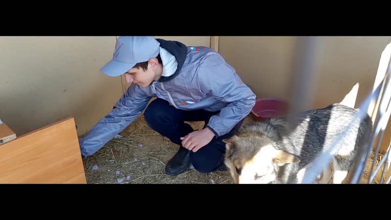 Волонтеры онф в рамках акции #мывместе посетили приют для бездомных молодые