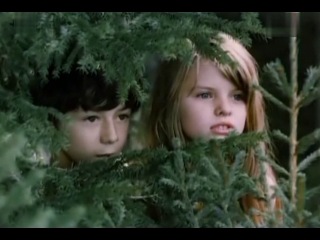 Бабочки / motyle (1972) польша