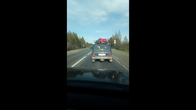 Две телки в тачке северодвинск архангельск