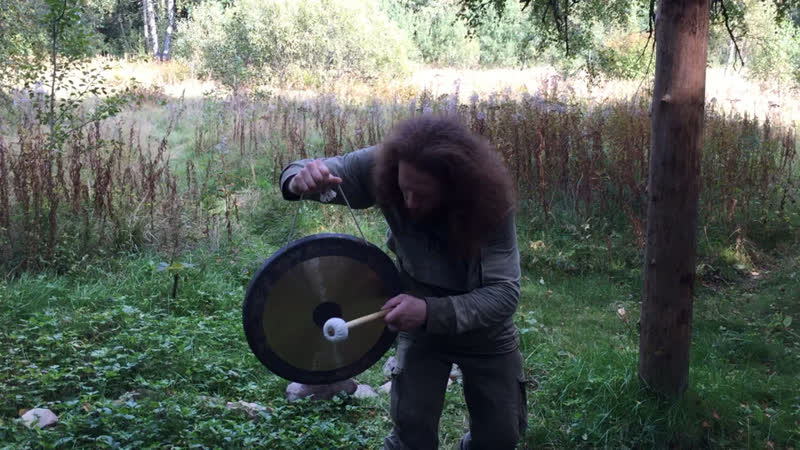 Гонг и сумрак