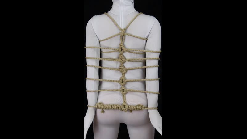 Dragonfly harness