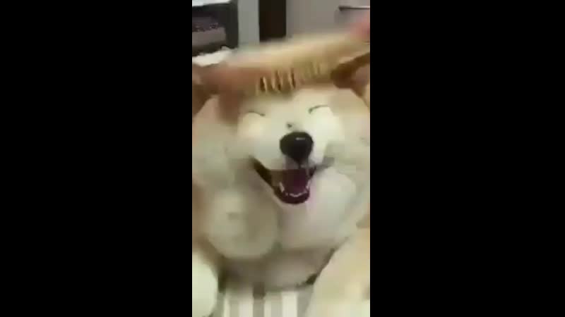 Namgi, jimin by porn ⁺¹⁸