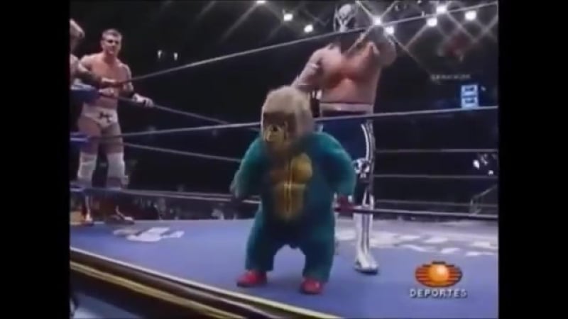Midget gets rekt