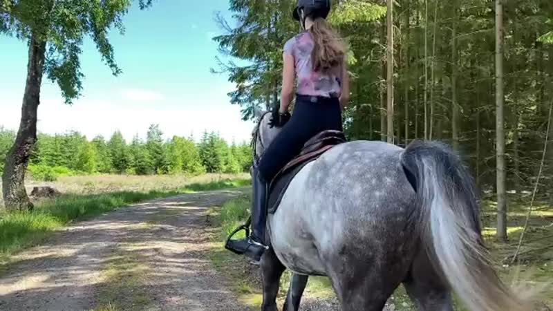 Caroline amalie equestrian cbswp9ch 4z mp4