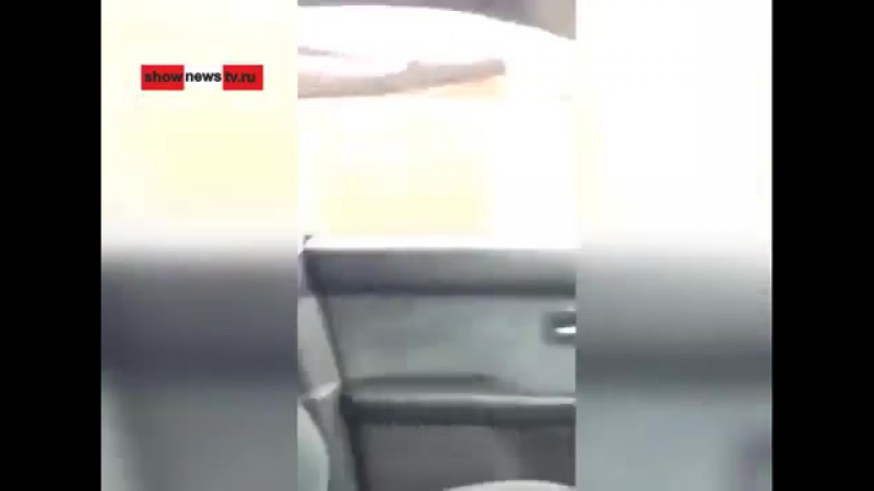 Видеожесть porn video – Давай подеремся © видеожесть