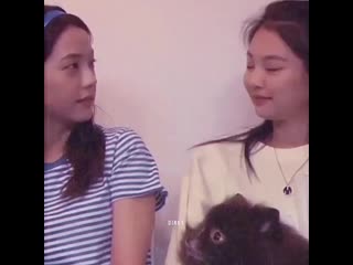 Dinky 0 20200816 001542 0 mp4