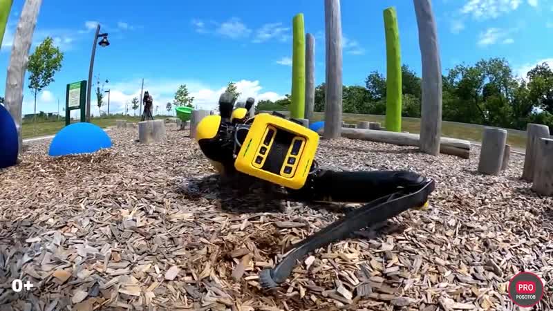 [pro роботов] робот boston dynamics spot распакоа и полный обзор самого крутого робота в мире
