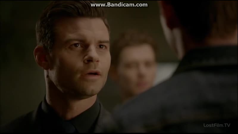 Первородные 3х15 кол майклсон пришел к своим братьям