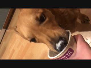 Бакс кушает рикотту