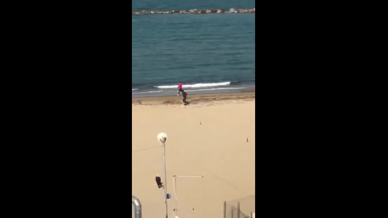 Нарушитель карантина