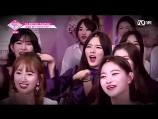 Did sakura took her medicine today she is so freakin random