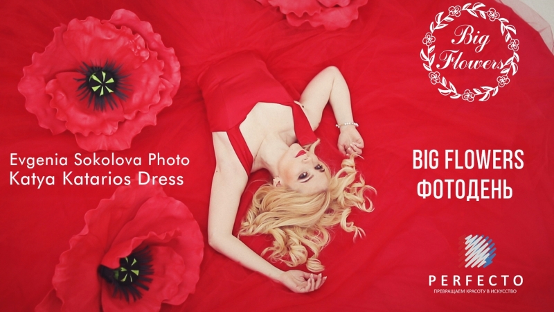 Big flowers | фотодень red poppies